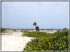 foto Spiagge a Cuba